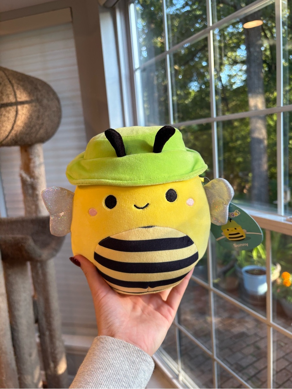 Sunny the bee squishmallow with green bucket hat NWT 8in
